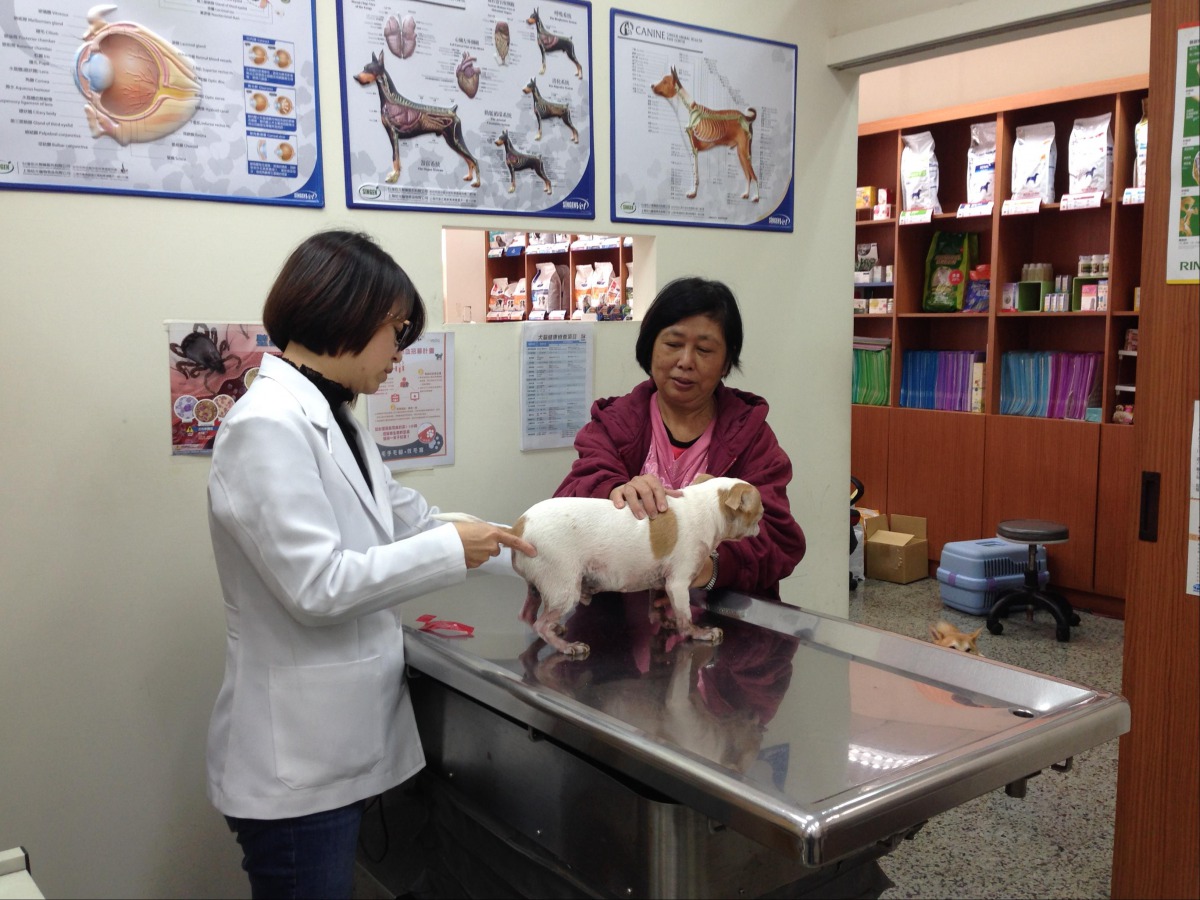 春節期間不只要注意寵物的身體健康，也要了解各地動物醫院營業情形。 高雄市動保處/提供