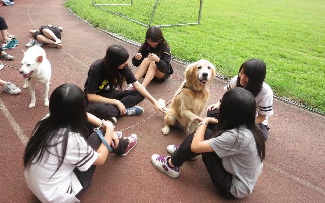動保教育將會在今年正式納入12年國教課綱教材當中。 教育部/提供