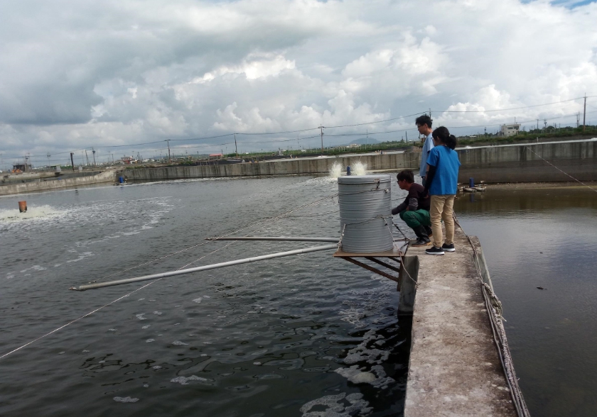 忽冷忽熱的天氣再加上暖冬使養殖漁業漁民相當頭疼。 高雄市動保處/提供