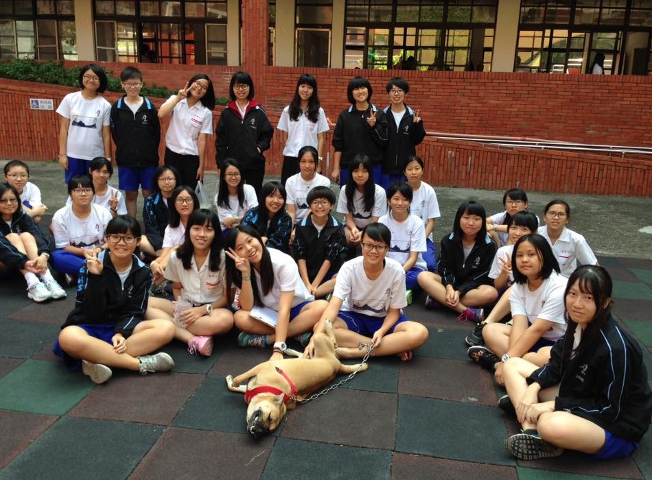 高雄女中校犬「安安」因咬傷學生家長，校方欲將牠送至收容所。 台灣動物緊急救援小組/提供