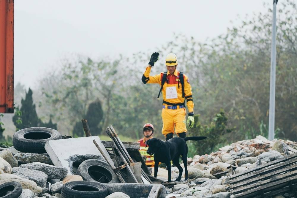 消防署舉辦全國災害搜救犬IRO國際評量檢測，模擬瓦礫堆現場來評測各單位所培訓的搜救犬。消防署/提供