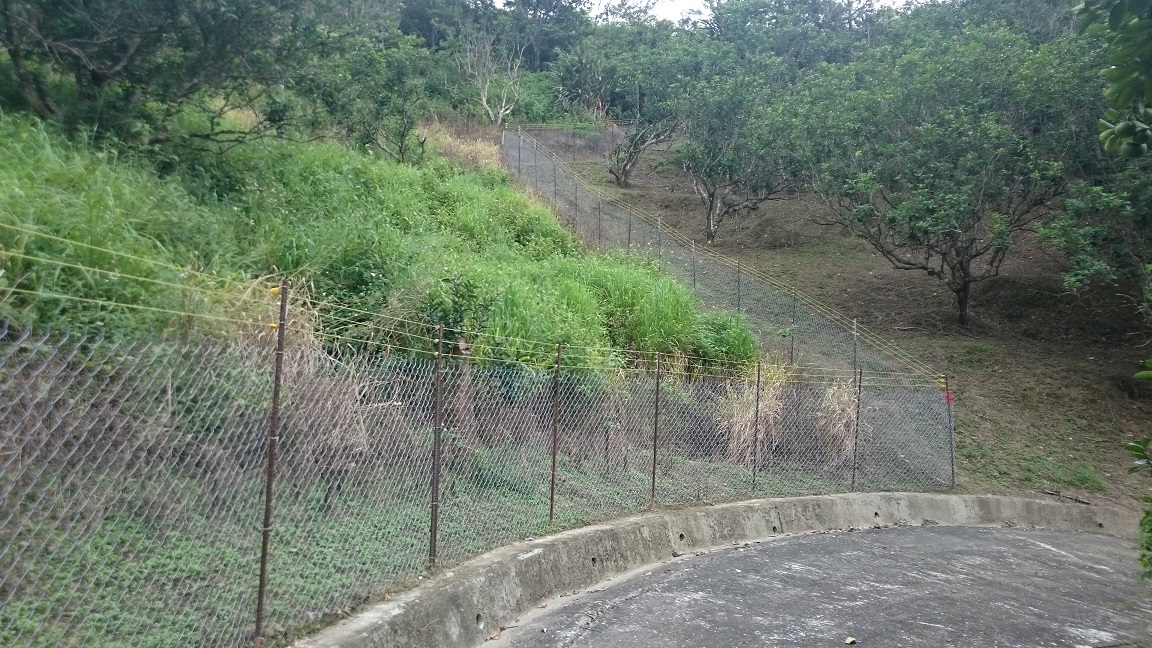 電網防猴效果佳，台東縣農民積極申請架設補助。 資料照片 林務局/提供