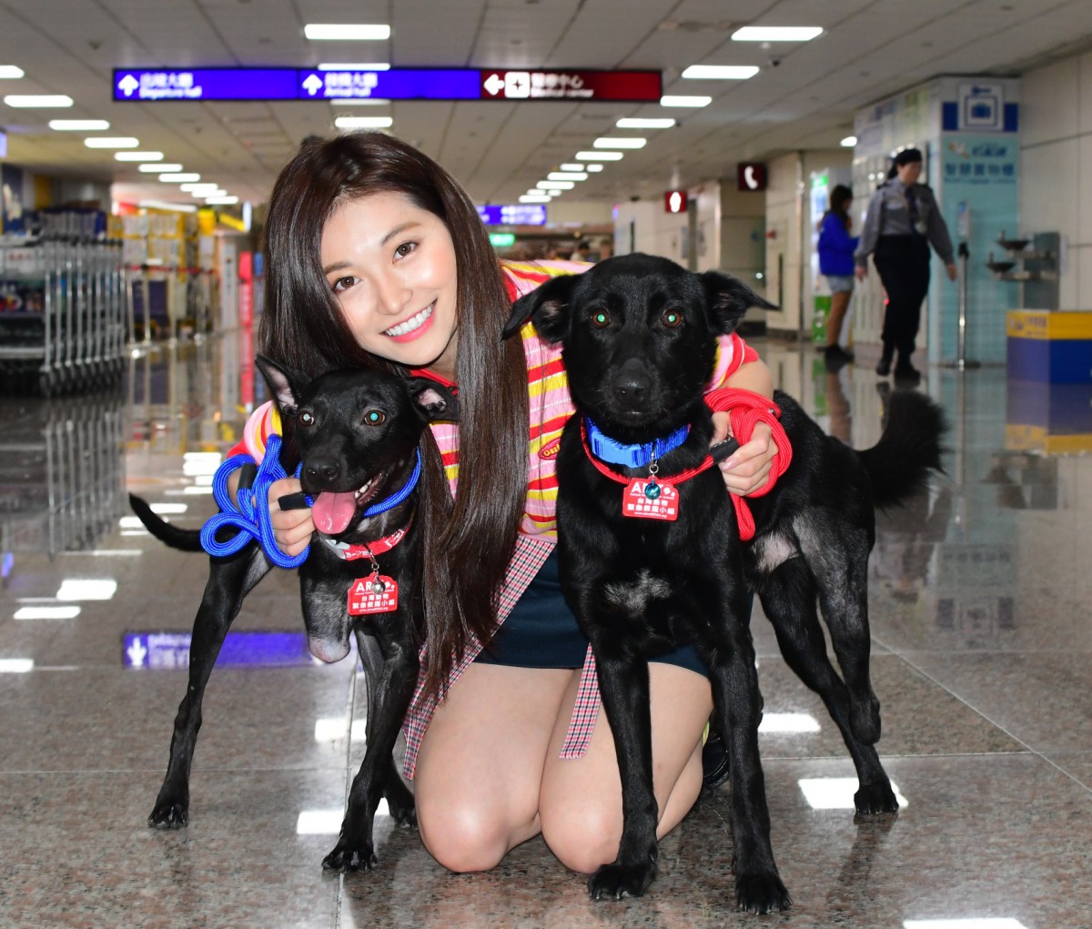 「國民女友」祈錦鈅擔任護犬大使護送5隻傷殘浪犬到西雅圖展開新的狗生。 台灣動物緊急救援小組/提供