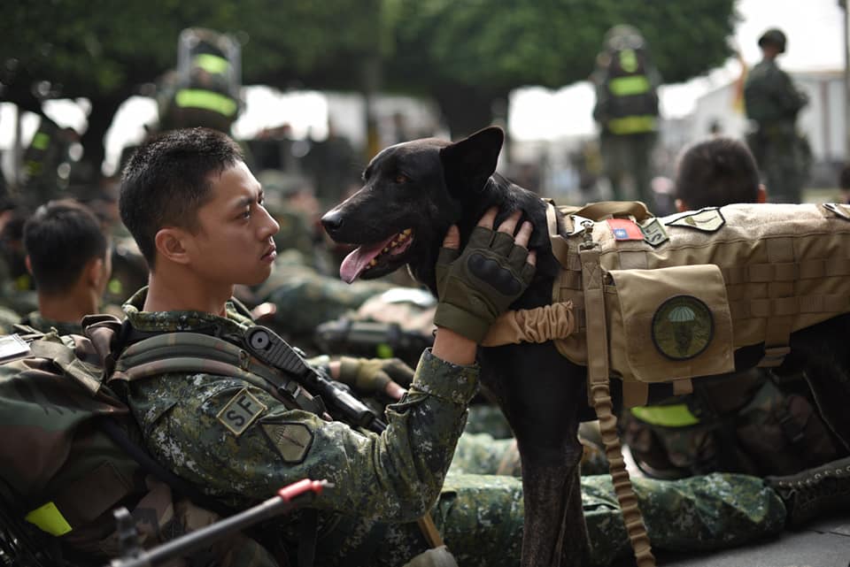特戰犬「HOLA」與特戰官兵一同進行行軍訓練。 取自/陸軍司令部粉絲專頁