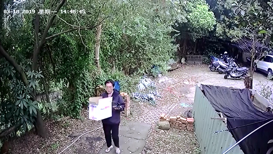 一名男子用紙箱裝著黑色幼犬棄置在八里保育場門口。 中華民國保護動物協會/提供