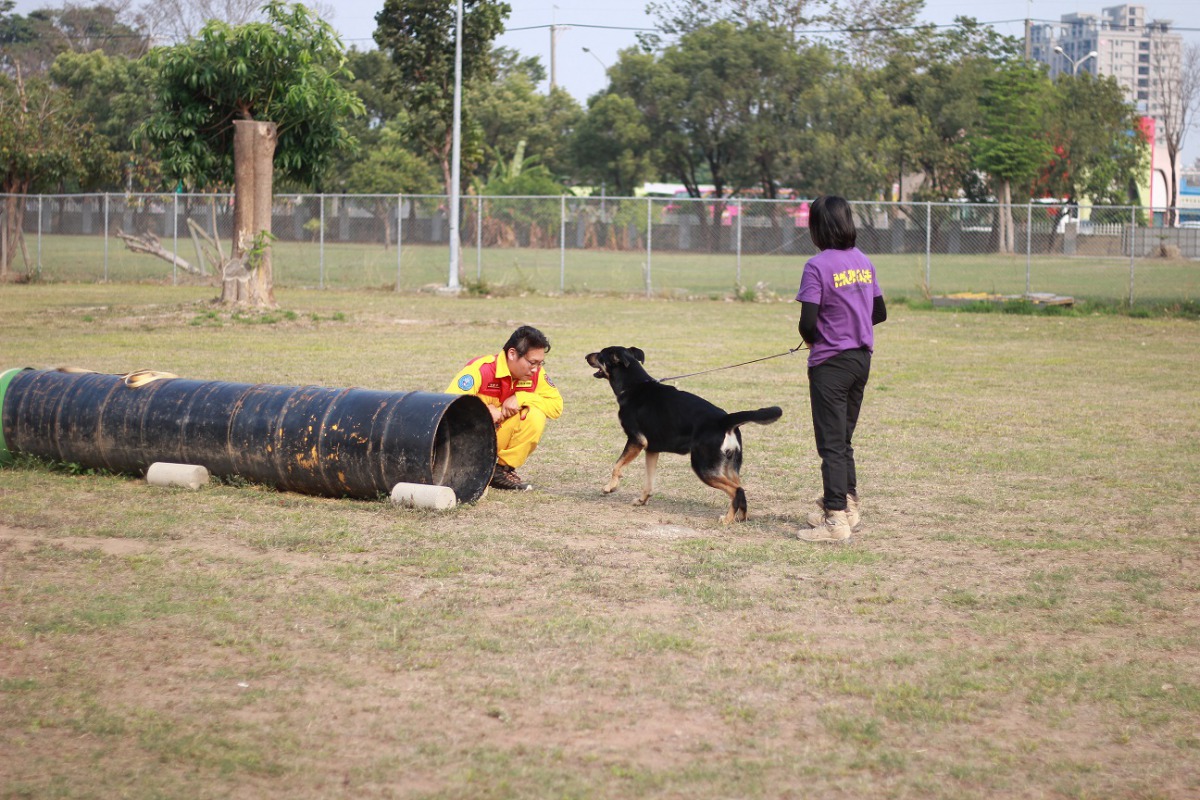 增添搜救犬生力軍牧羊犬schnell來台報到 社團法人中華民國保護動物協會 增添搜救犬生力軍牧羊犬schnell來台報到 社團法人中華民國保護動物協會