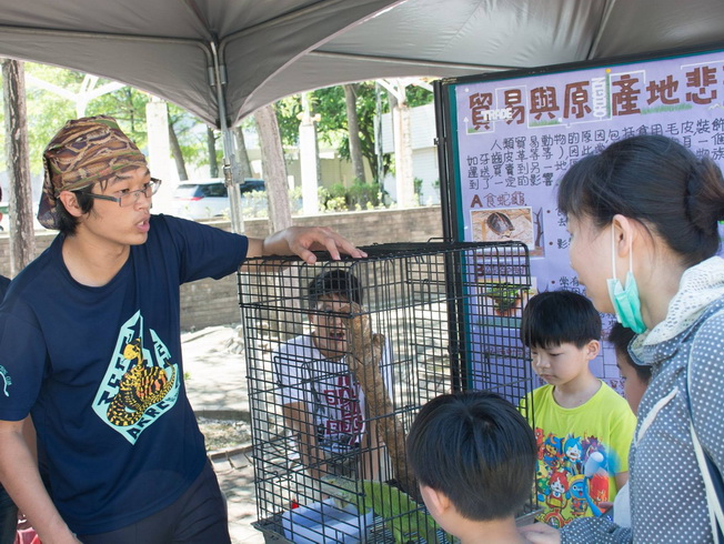 嘉義大學兩棲爬蟲研究社除了向民眾介紹爬蟲類動物外，還會走出校門捕捉蛇類及移除外來種蜥蜴。 嘉義大學/提供