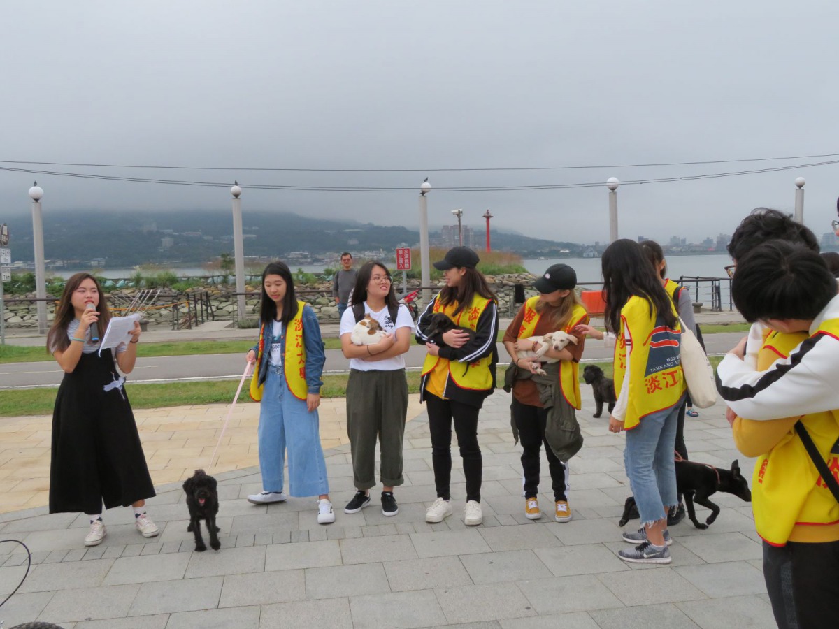 淡水動物之家與淡江大學學生合作舉辦認養活動，幫助浪浪們找到溫暖的家。 (圖為去年認養活動) 新北市動保處/提供