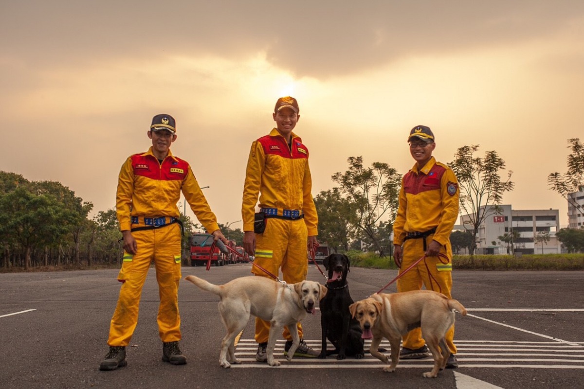 新竹市消防局特搜隊將會有3隻搜救犬加入。 新竹市政府/提供