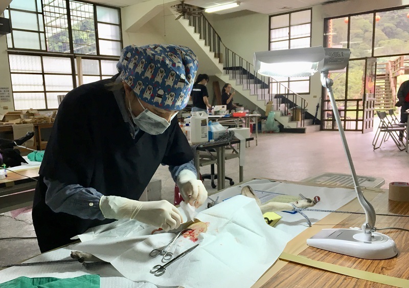 台中市動保處深入偏鄉辦理犬貓絕育活動，當地居民紛紛熱情響應。 台中市動保處/提供