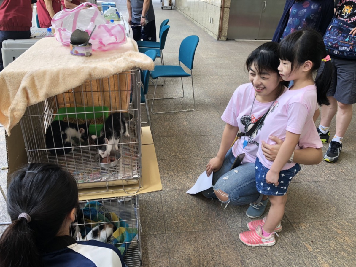   新北市動保處與咪可思協會公私協力舉辦犬貓送養活動。 新北市動保處/提供