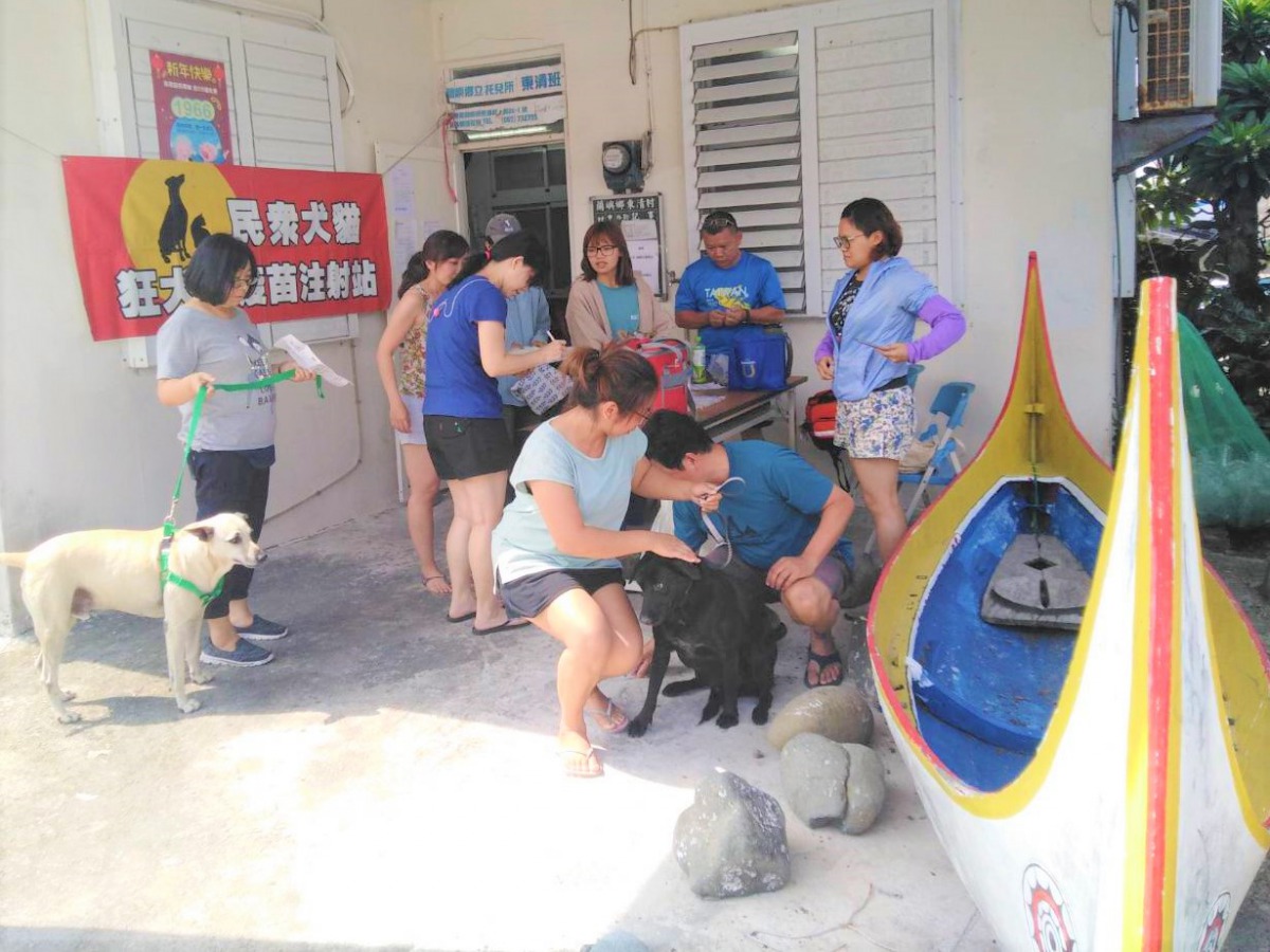 台東縣動物防疫所日前跨海至蘭嶼幫犬貓施打狂犬病疫苗。 台東縣動物防疫所/提供