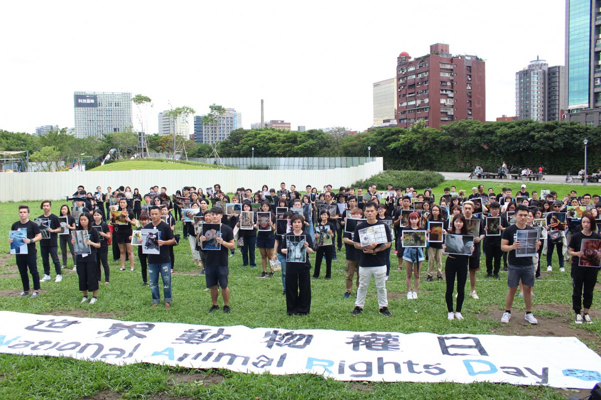 世界動物權日有上百位民眾響應，每個人手拿受壓迫的動物照片為他們發聲。 姚崇仁/攝