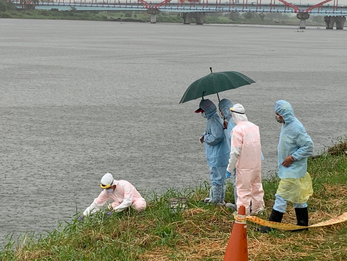 屏東東港溪傳出動物屍體浮在河面上，經過確認為犬隻屍體。 第五岸巡隊/提供