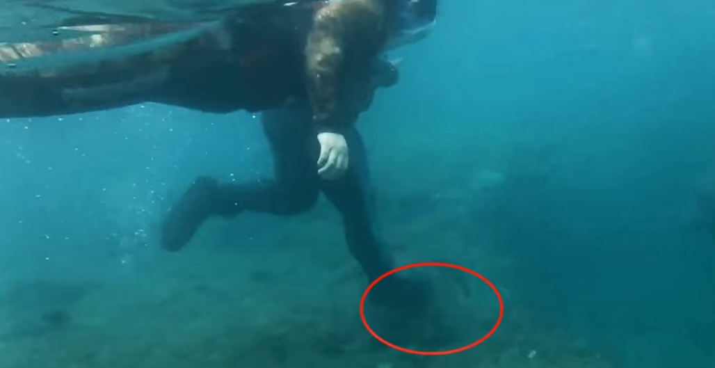 騷擾海龜的誇張行徑已不是小琉球第一次發生,今年6月甚至有潛水客用腳踏海龜。 資料照片 海巡署第五岸巡隊/提供