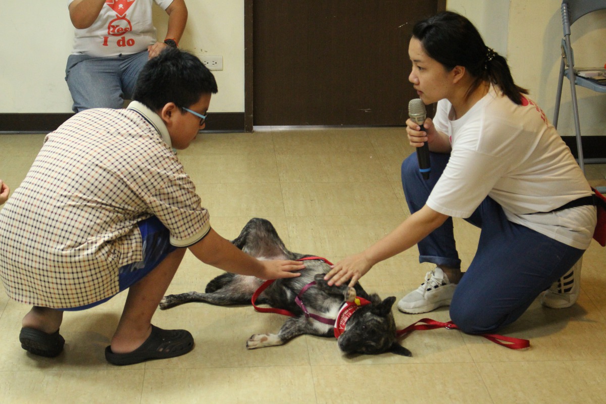 西區單親家庭服務中心邀請中華民國保護動物協會舉辦講座大小朋友了解如何正確地與犬隻互動。 姚崇仁/攝