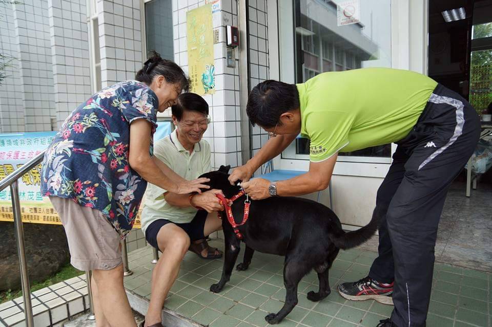 嘉義縣政府舉辦「動物關懷月」，免費替犬貓施打疫苗、絕育、辦理寵登。 嘉義縣政府/提供