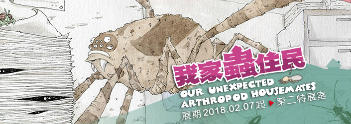 科博館推出「我家蟲住民」特展。 國立自然科學博物館/提供