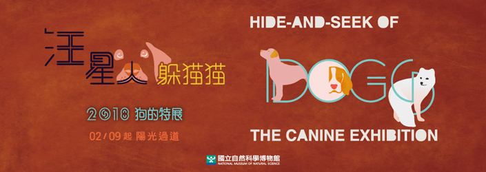 科博館從9日起展出《汪星人躲貓貓-狗的特展》。 科博館/提供