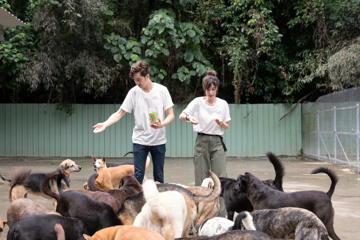 藝人張雁名與陳敬宣一同到莊媽媽狗園擔任一日志工。 台灣動物緊急救援小組/提供