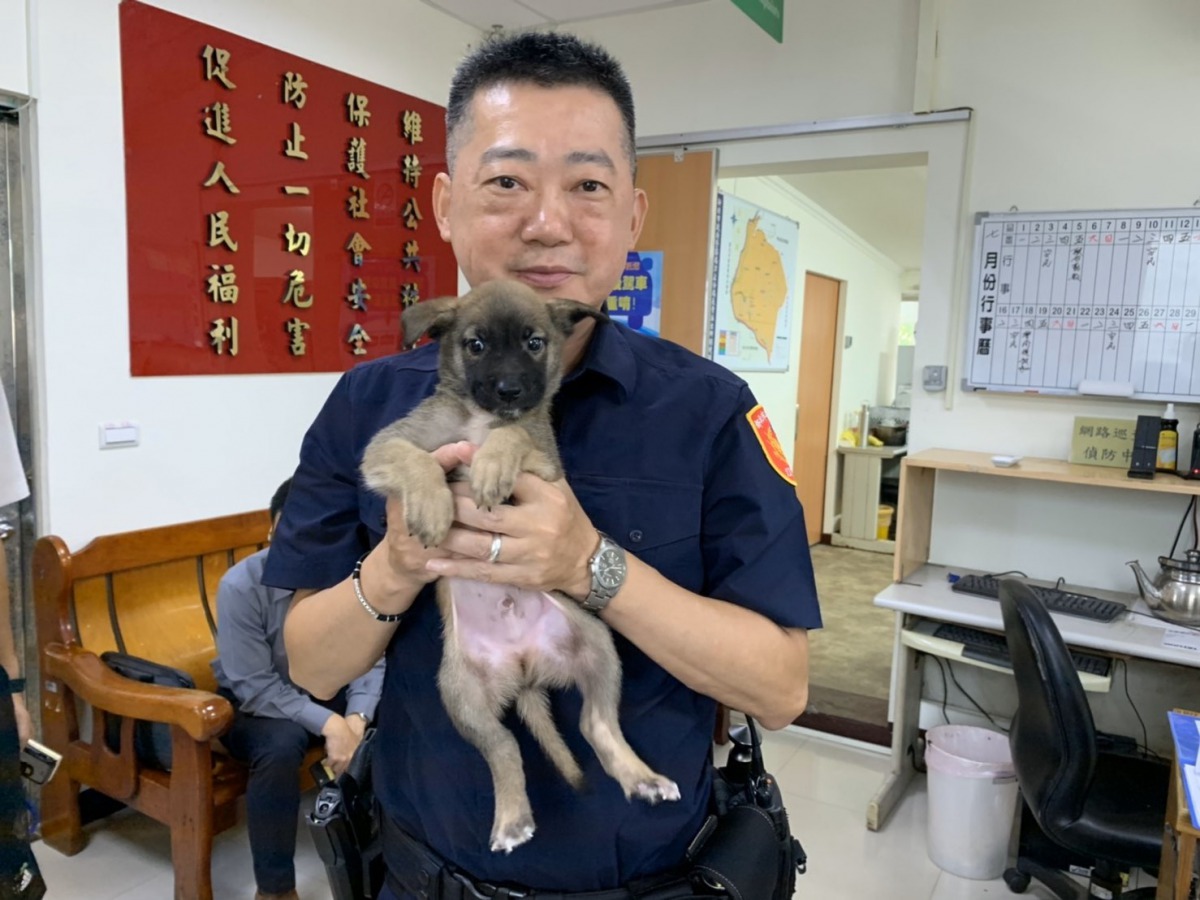 長青派出所所長郭志陽領養「咖啡」，並讓「咖啡」成為派出所機關犬。 新北市動保處/提供