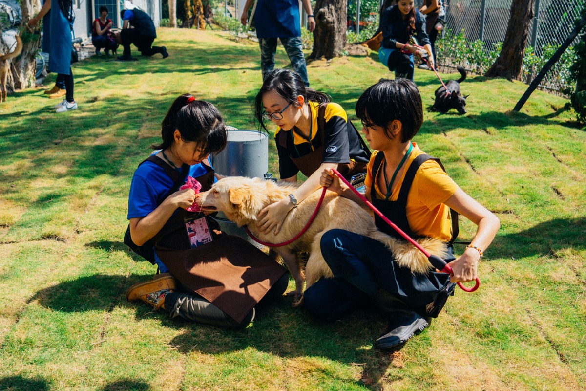 中華民國保護動協會於去年7月在新竹市動物保護教育園區辦理志工培訓課程。 資料照片 中華民國保護動物協會/提供
