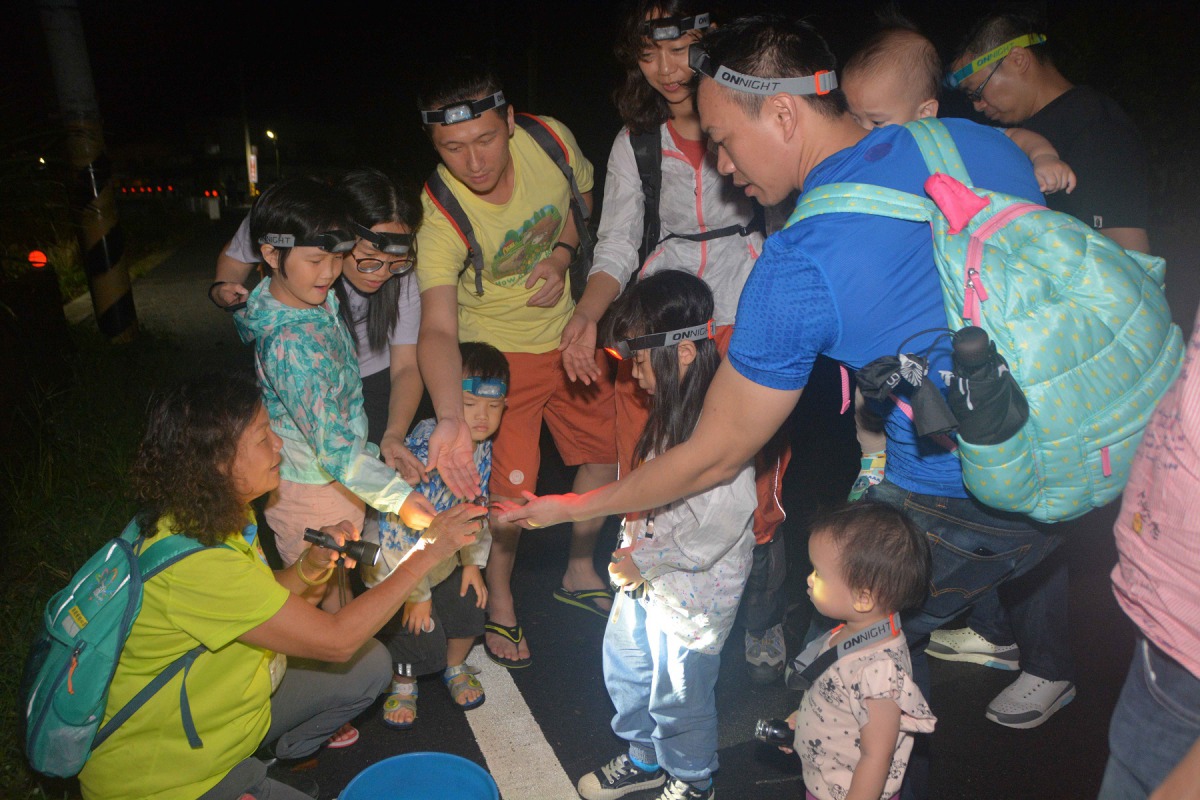 仁寶電腦公司放置公假,讓員工攜家帶眷前往屏東守護陸蟹。 仁寶電腦/提供