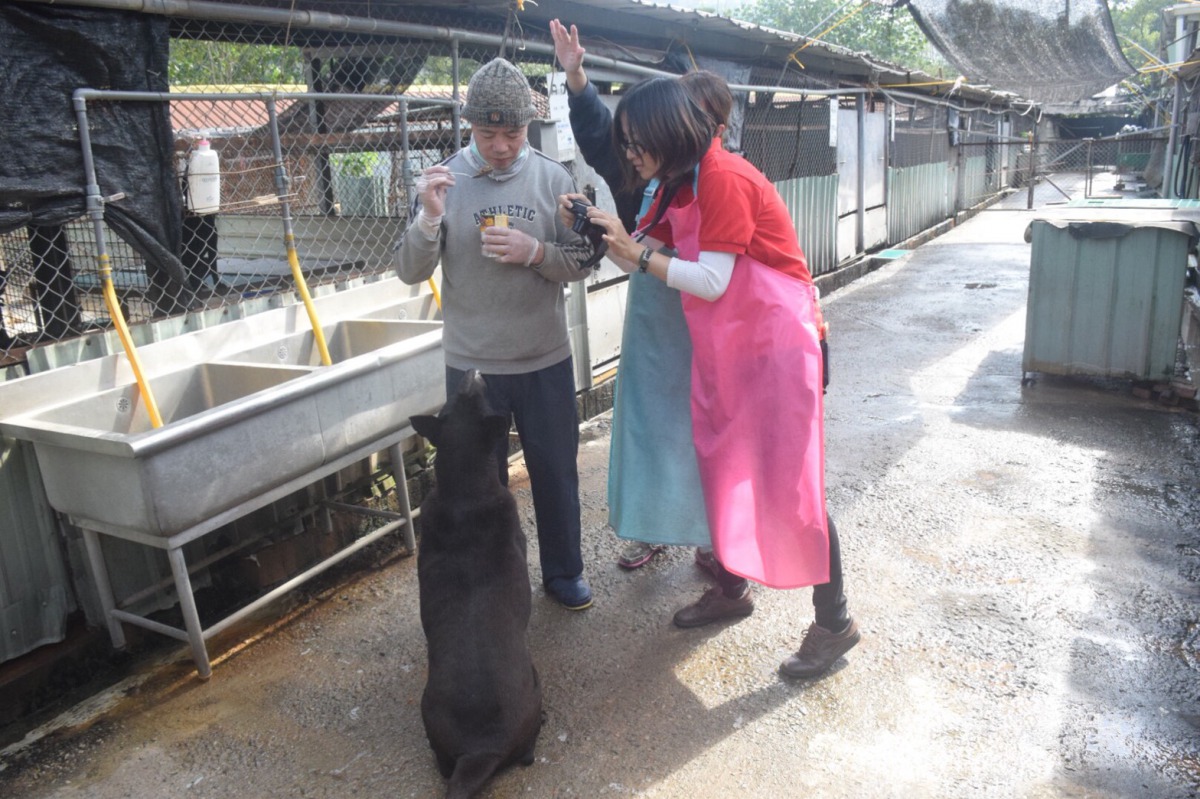 要讓狗狗乖乖的坐好拍「沙龍照」需要美味食物的誘惑。 姚崇仁/攝
