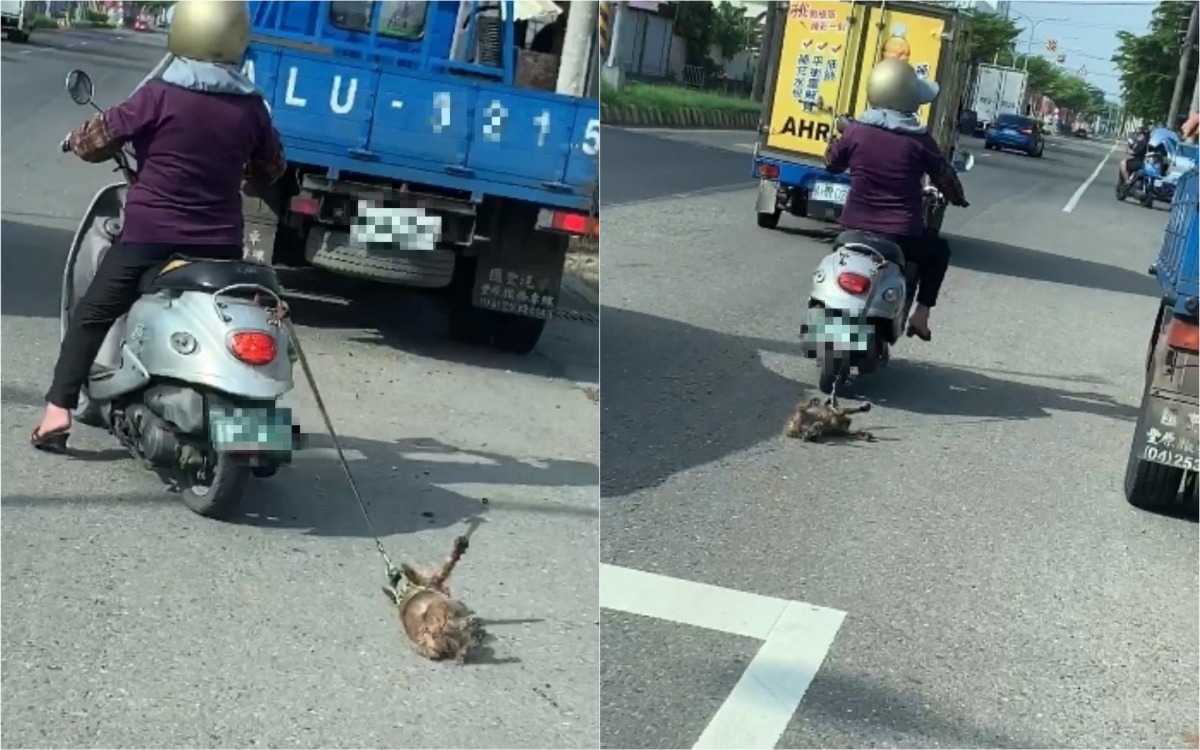 彰化一名62歲婦人用機車拖行飼養的約克夏。 翻攝/愛秀水說秀水