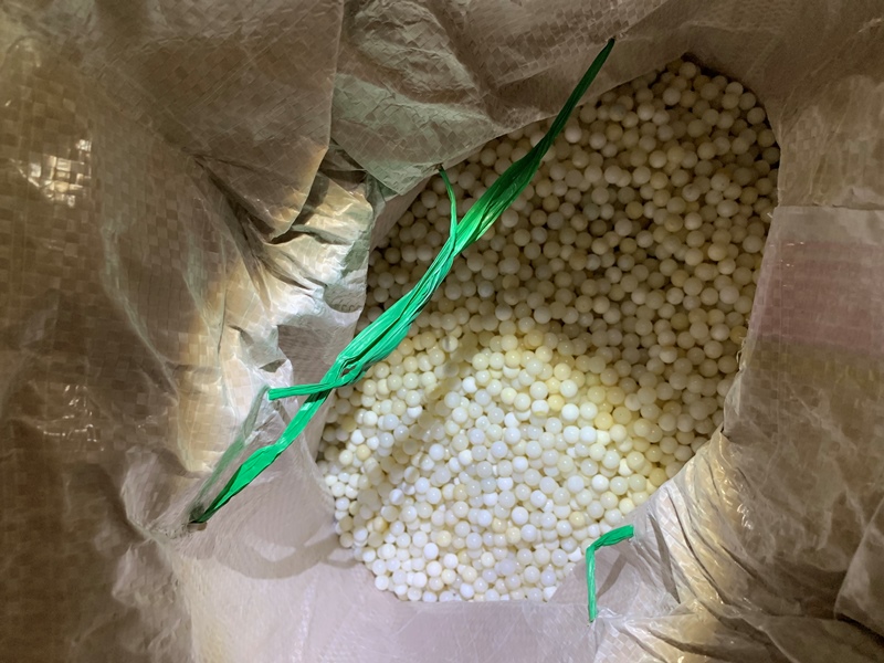 基隆關與保三總隊第一大隊在基隆港區貨櫃站查獲被CITES列為保育動物的硨磲貝加工品。 基隆關/提供