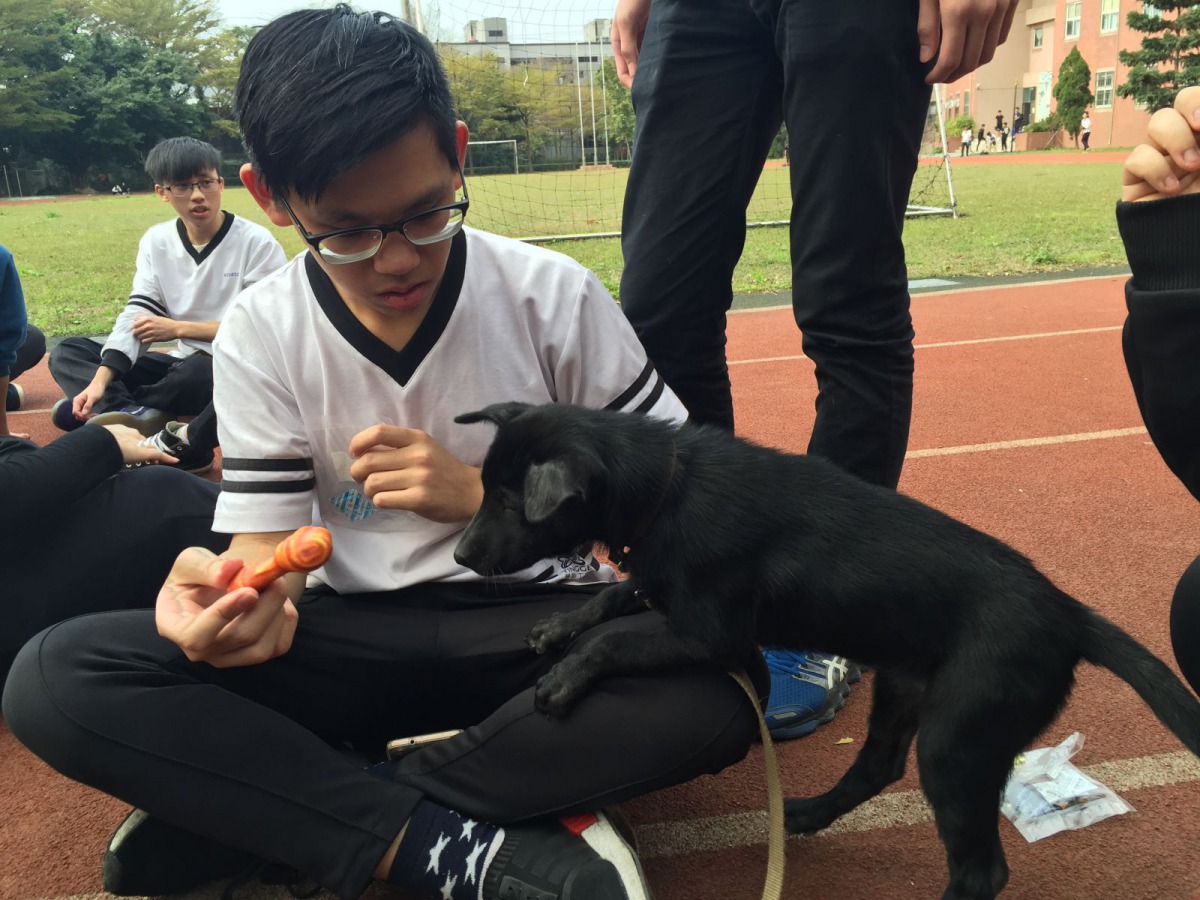 鶯歌高職的校犬「黑妞」和學校學生互動。 鶯歌高職老師廖婉如/提供
