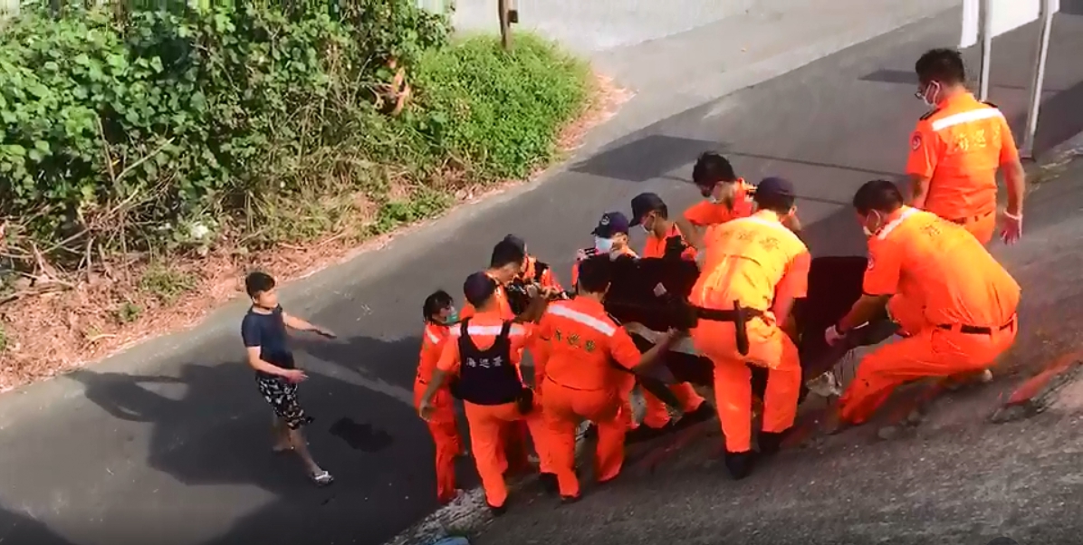 10多名海巡人員合力將擱淺的侏儒抹香鯨救上岸。 第十一岸巡隊/提供