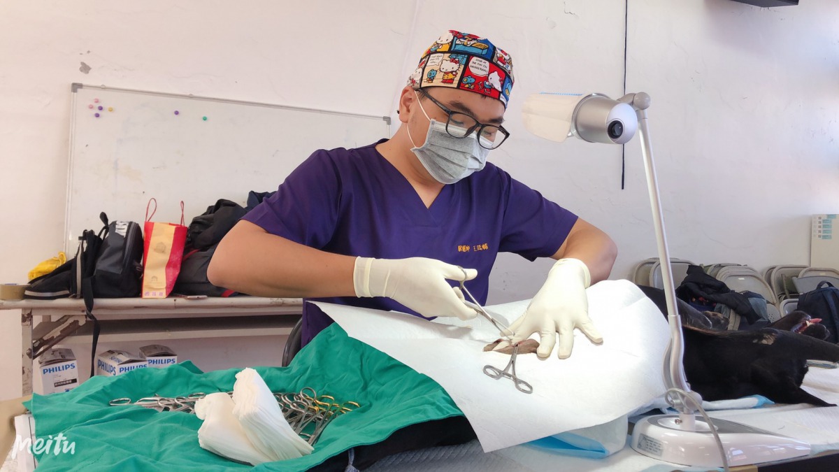 動保處獸醫團隊前進台中市偏鄉地區免費替犬貓絕育。 台中市動保處/提供