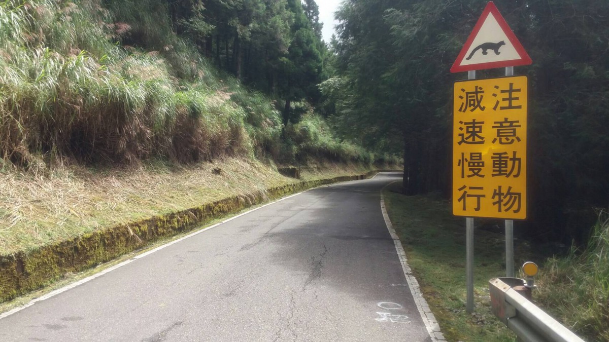 林管處在通往太平山國家森林遊樂區的主要道路設置告示牌，希望減少路殺事件發生。 羅東林管處/提供