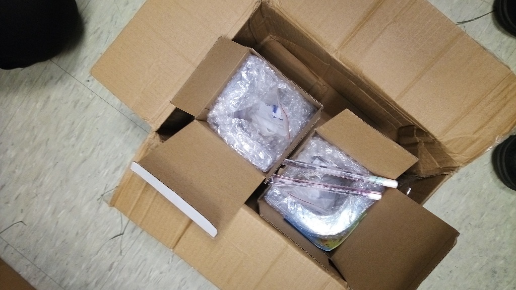 海關在檢查快遞包裹時意外發現塑膠管夾帶數十隻活螞蟻。 台北關/提供