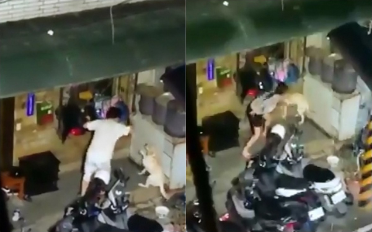 新莊區一名男子(左)與女兒(右)手持愛的小手抽打被鍊住的拉布拉多,事發經過都被附近鄰居拍了下來。 翻攝/「冠廷往事」粉絲專頁