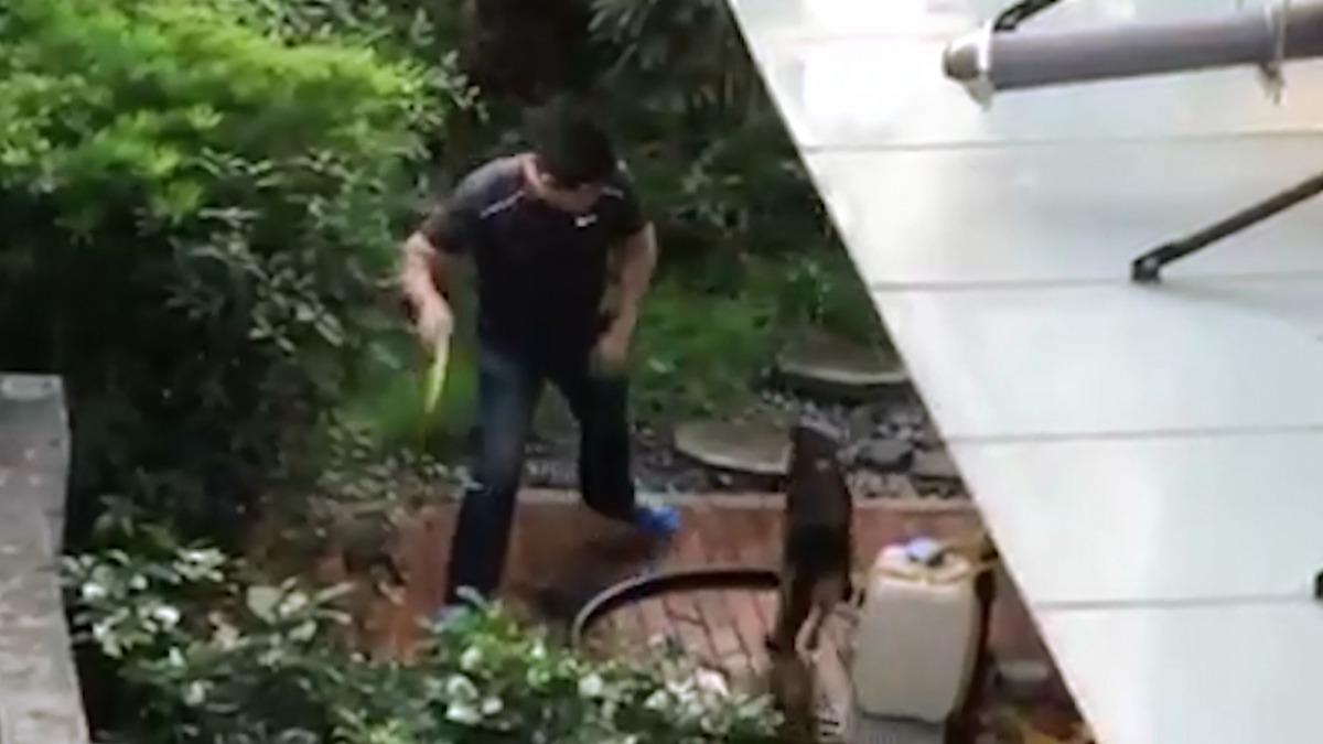 台中市一處民宅內,有男子手持水管不斷抽打飼養的犬隻,過程全被附近民眾拍了下來。 動保志工/提供