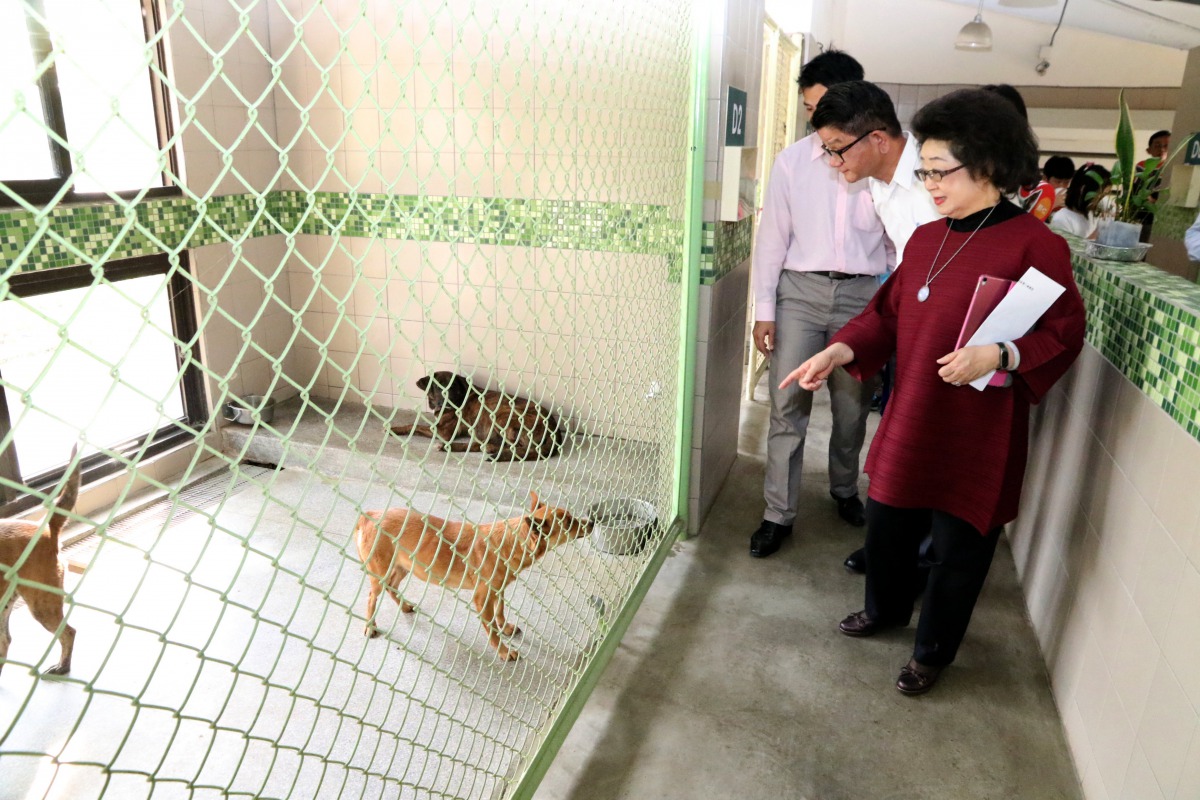 高雄市教育局局長范巽綠與多所學校校長一同參訪燕巢動物保護關愛園區。 高雄市教育局/提供