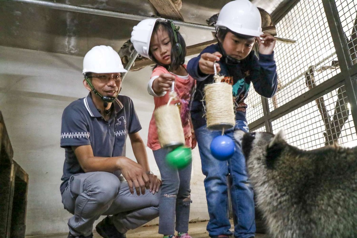 新竹市府邀請小朋友來為動物園的浣熊製作玩具,不僅豐富動物行為,也讓孩子們認識動物。 新竹市政府/提供