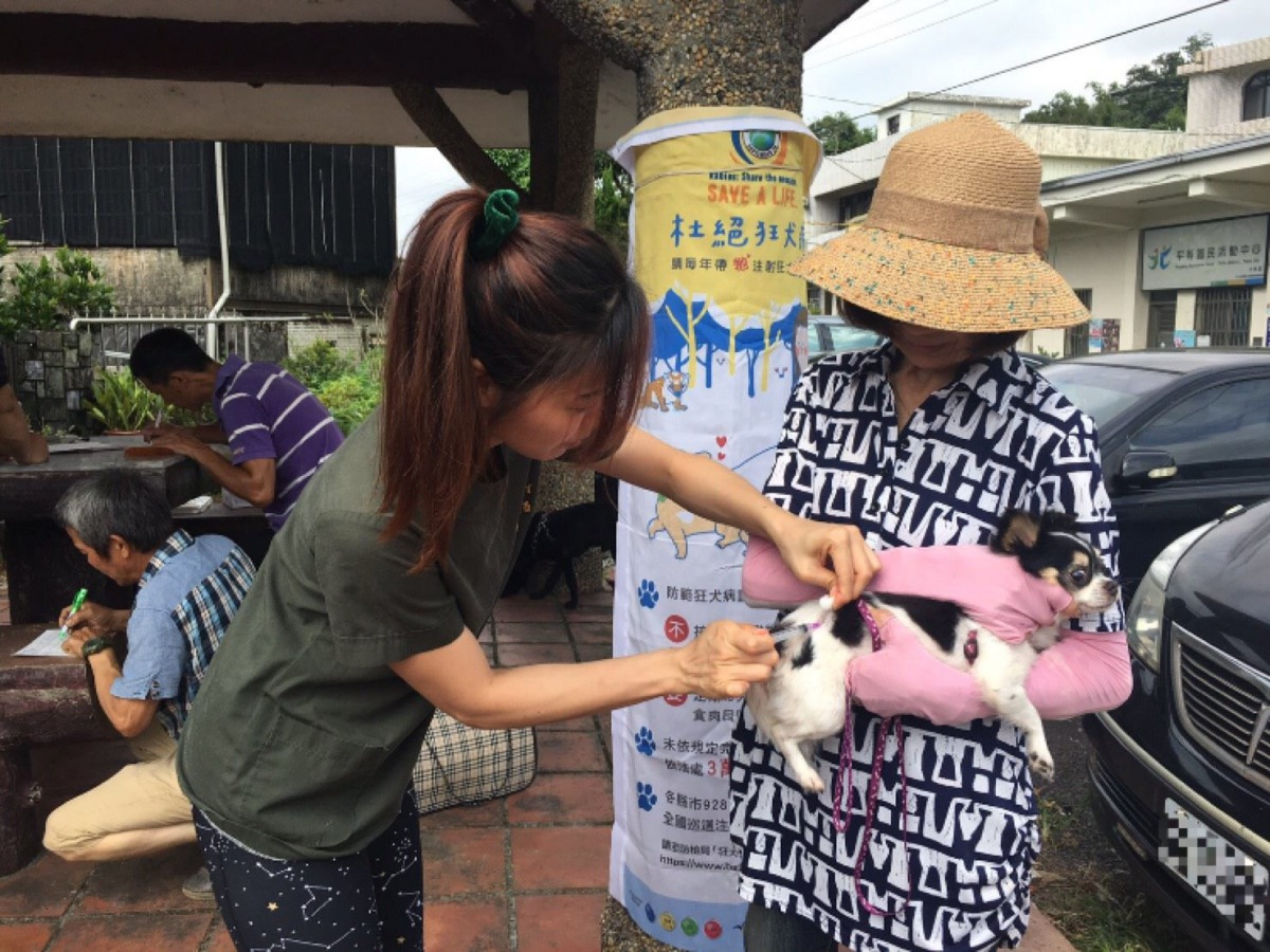 為了保護毛小孩與飼主自身的健康，每年都要定期施打狂犬病疫苗。 台北市動保處/提供