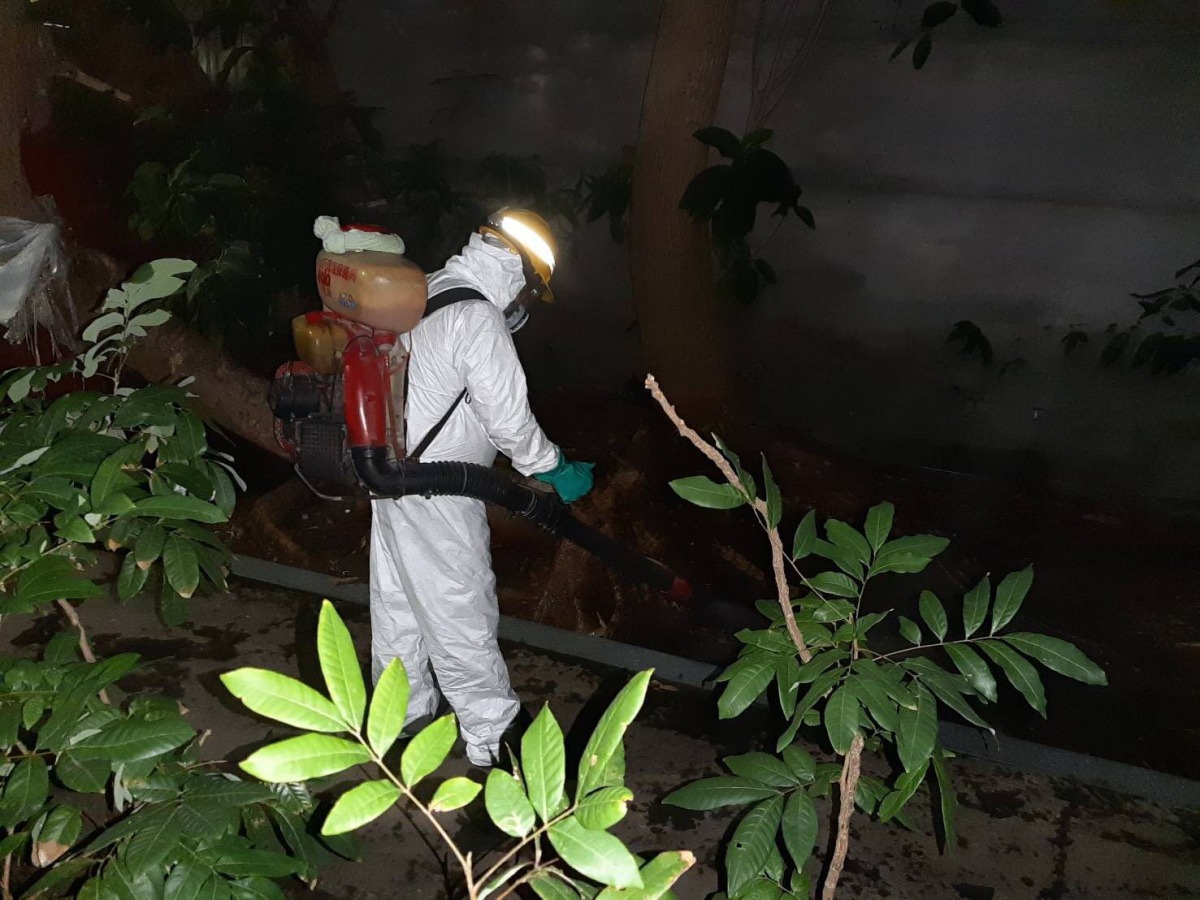 環保局人員在豬屍發現地點進行消毒工作。 台北市動保處/提供