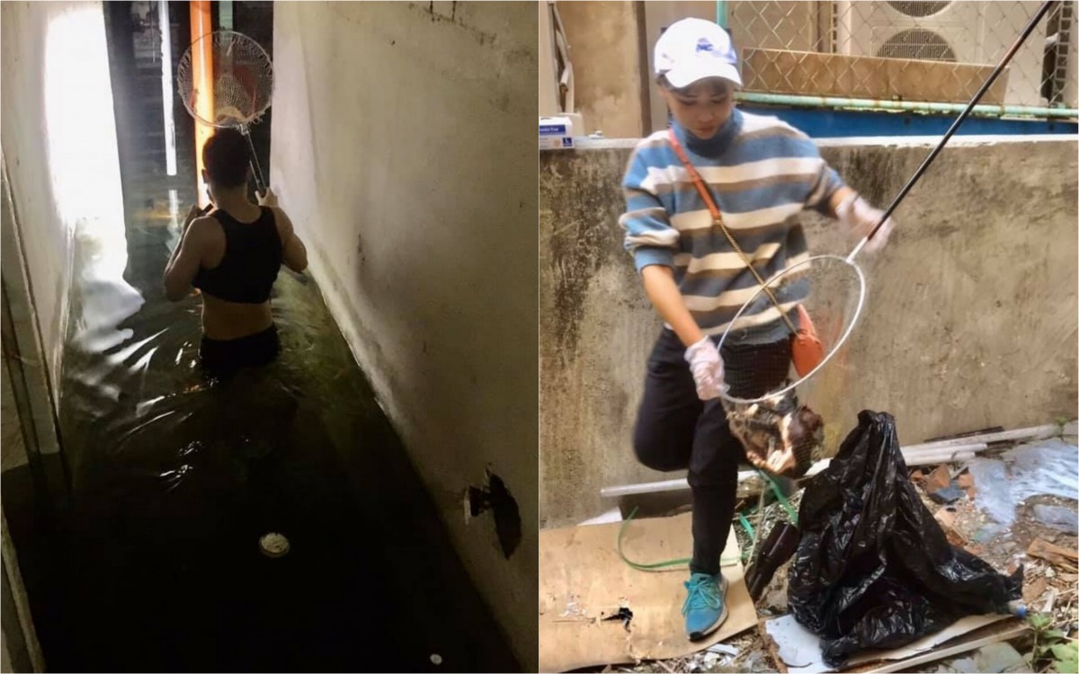 志工涉水打撈淹死的貓咪屍體。 邵柏虎/提供