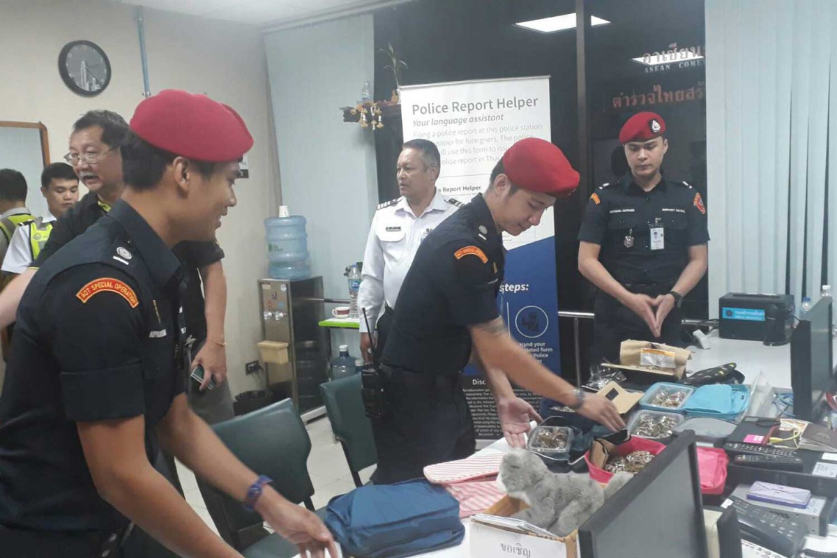 泰國當局查獲走私95隻活體印度星龜。翻攝/BangkokPost