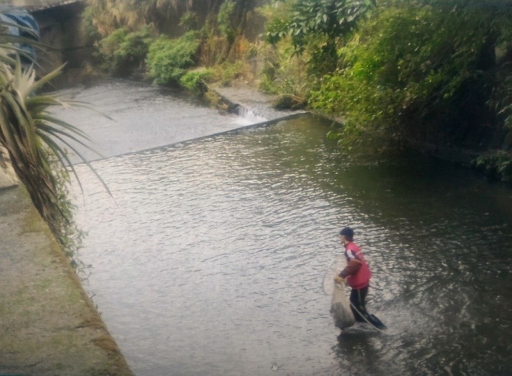 瑞芳動物之家獸醫冒險涉水救援。 新北市動保處/提供