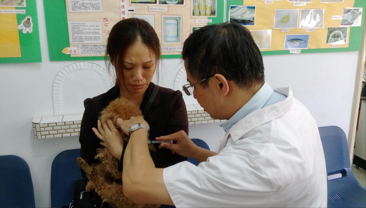 動保處提供沿海地區犬貓免費狂犬病疫苗施打服務。 高雄市動保處/提供