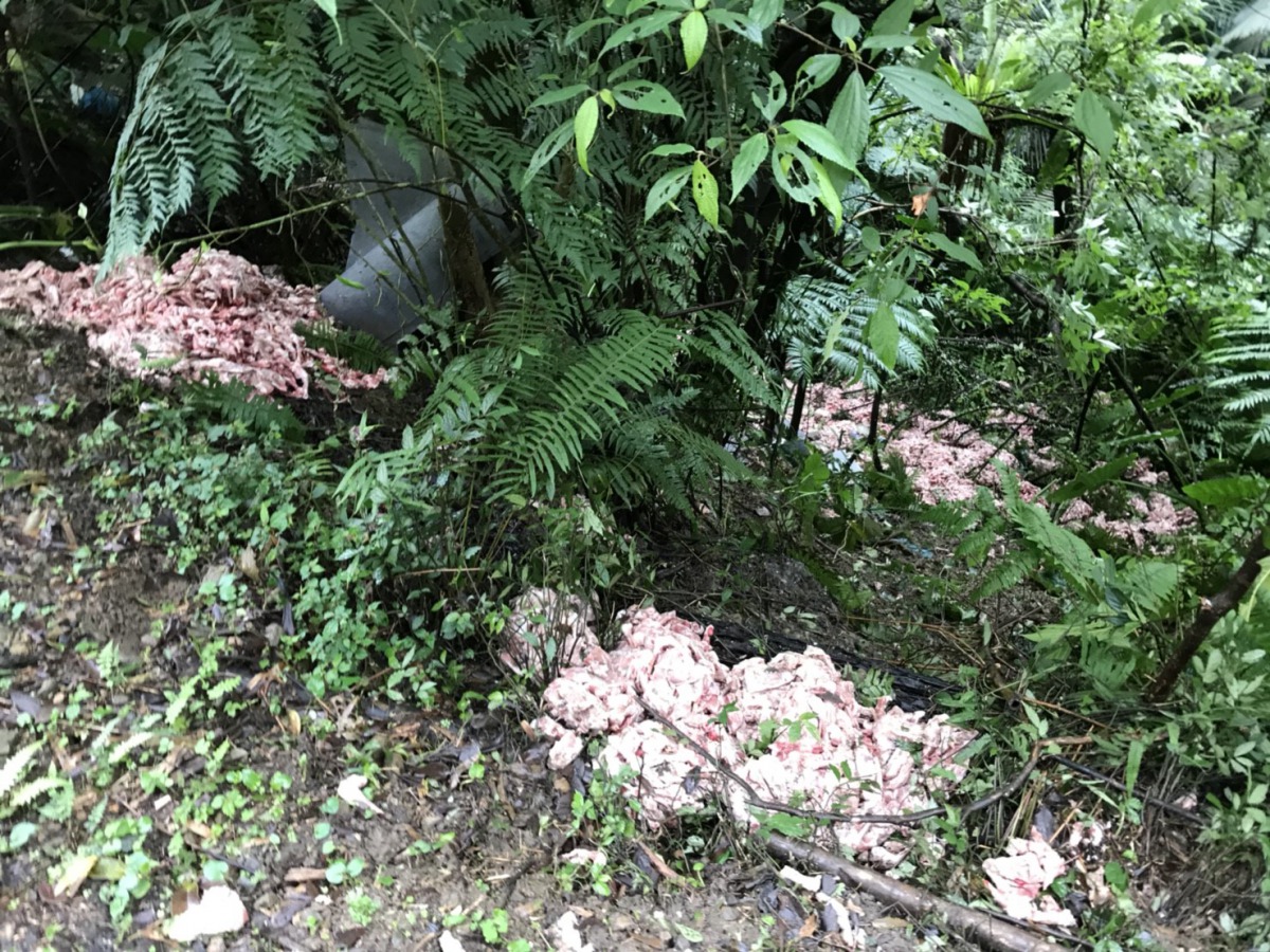 現場總共有3公噸的過期雞肉遭人隨意棄置。 新北市動保處/提供