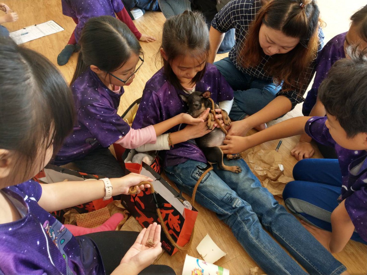 去(108)年聖誕節國小孩童至燕巢動保園區與狗狗一起過節。 資料照片 高雄市動保處/提供