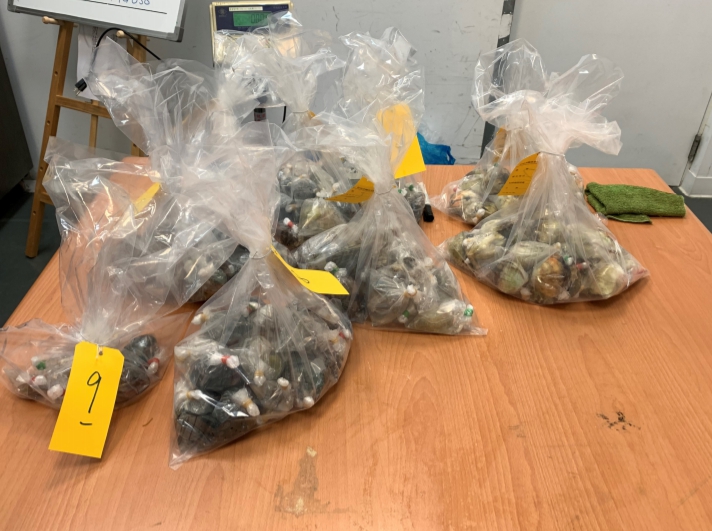 旅客用水袋封裝海洋野生動物遭海關查獲。 台北關/提供