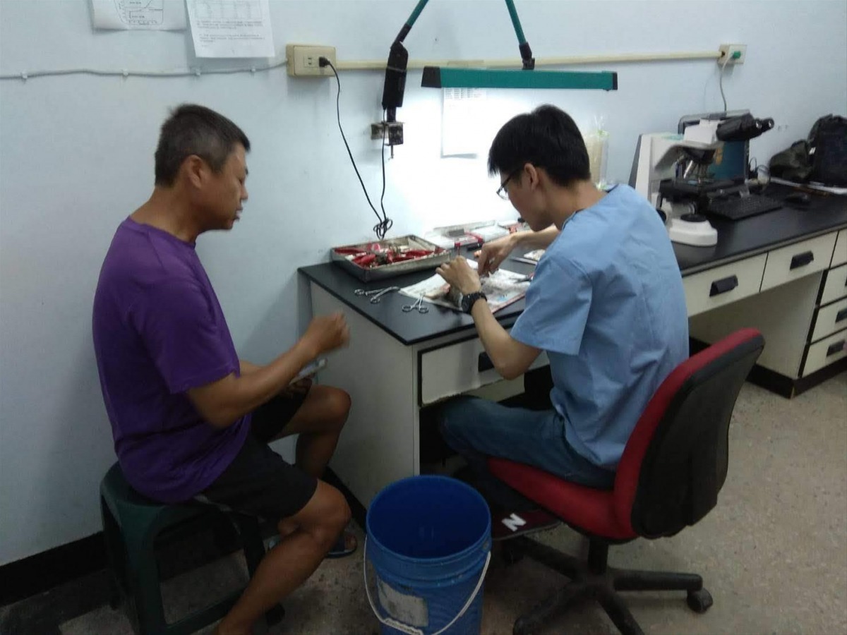 養殖魚隻發生問題時應立即求助水產獸醫師。 高雄市動保處/提供