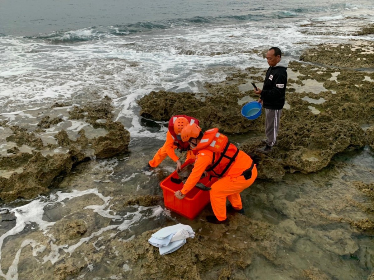 海巡人員冒險救援受困礁岩區的海歸。 第六岸巡隊/提供